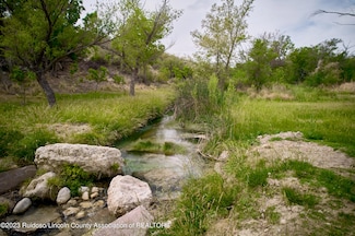 1232 Black River Village Rd, Carlsbad, NM 88220