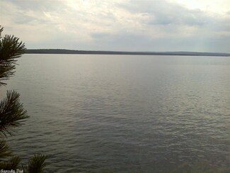 0 Lakefront Rd Unit 20029940, Quitman, AR 72131