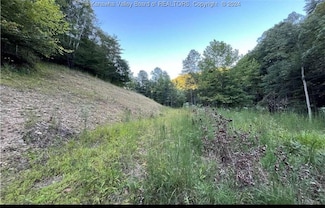 TBD Arden Ln, Danville, WV 25053