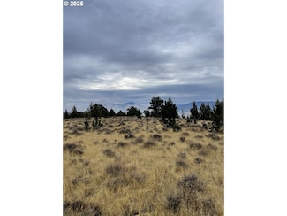 0 Wiley Creek Rd Unit 610850473, Dayville, OR 97825