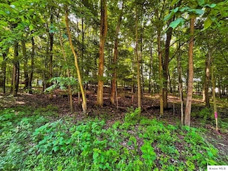 399 Valleyridge Dr, Apple Valley, OH 43028
