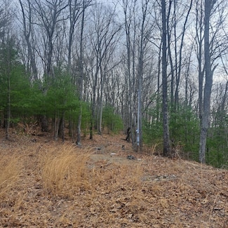 0 Ridge Top Rd Unit LotWP001 23190322, Cromwell Township, PA 17264