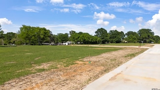 207 E Teal Dr, Troup, TX 75789
