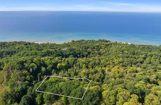 8310 Pine Ridge Dr, Friendship Township, MI 49740