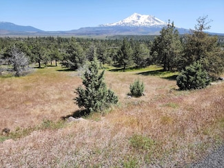 Lot 81 Unit 3 Dwinelle Unit 3, Weed, CA 96037