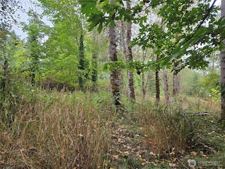 12628 208th Place NE, Union Hill-Novelty Hill, WA 98077