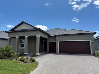 31556 Cardinal Yard Dr, San Antonio, FL 33576