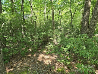 Lot 201 Little Creek Rd, Lake Lure, NC 28746