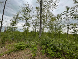 TBD Dunn Bridge Rd, Pleasant Run Township, IN 47436