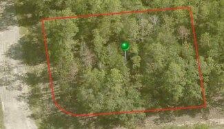 408 E Panama Dr, Citrus Springs, FL 34434