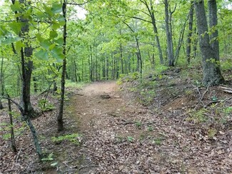 0 Hildebran Mountain Rd, Connellys Springs, NC 28612