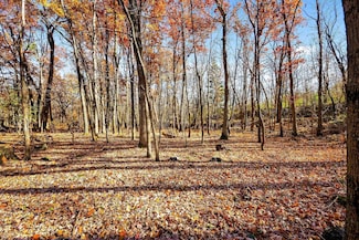 Lot 2 County Rd E, Pardeeville, WI 53954