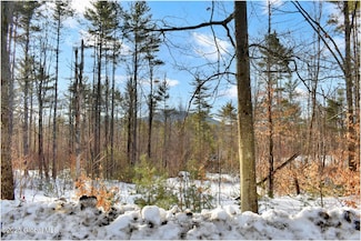 L91 Highview Ln Unit Lot 7, Wevertown, NY 12886