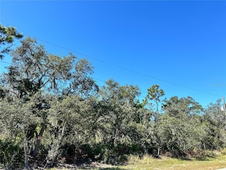 0 Woodstork Way Unit MFRL4957348, Frostproof, FL 33843