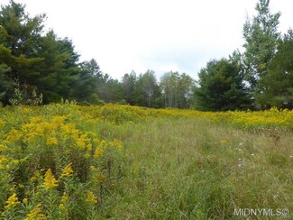 263 Beaver Creek Rd, Waterville, NY 13480