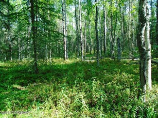 8581 W Skyview Dr, Meadow Lakes, AK 99654