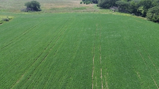 430th St, Derby, IA 50049