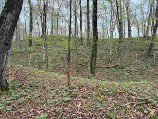 Lots 565-568 Island Woods Rd, Beaver Island, MI 49782