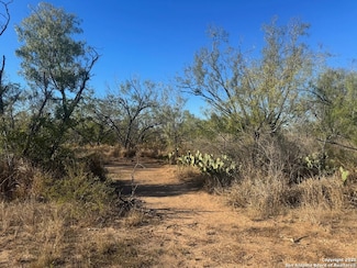 LOTS 2456-2458 Avenue J, Christine, TX 78012