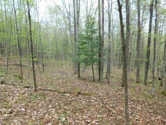 410 Leons Ln Unit Lot 2, South Royalton, VT 05068