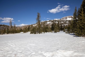 167 Zion View Dr Unit lot 2, Brian Head, UT 84719