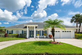 14811 Farnham Way, Tampa, FL 33624