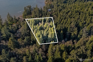 0 Lot 35 Bay Ln, South Bend, WA 98596