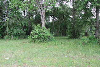 TBD Sam Houston Jones Pike, Lake Charles, LA 70611