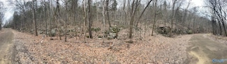1431 Joshua Dr SE, Huntsville, AL 35803