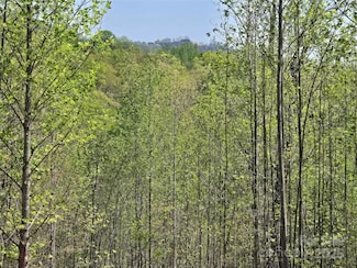 Lot 17 Touch Me Not Trail, Lake Lure, NC 28746