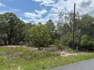 TBD Locust Lane Pass, Silver Springs Shores, FL 34472
