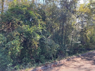 Lot 11 1/2 Lot 12 Berman St, Andalusia, AL 36421