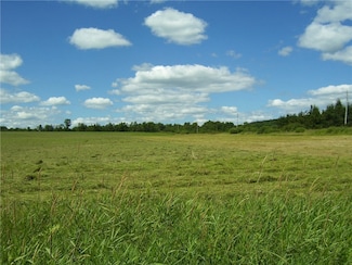 0 Pitcher Springs Rd, McDonough, NY 13801
