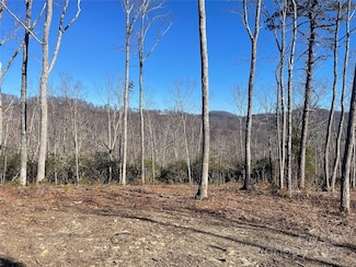 0000 Mountain Grove Ln Unit 59, Fletcher, NC 28732