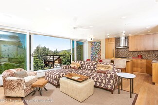 718 S Galena St Unit 102A, Aspen, CO 81611