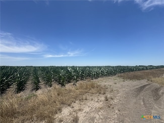 TBD Cr 335 Rd, Louise, TX 77455