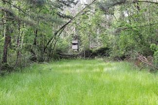00 Louisiana 442, Tickfaw, LA 70466