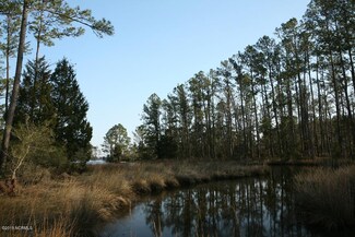 484 Griggs Rd, Vandemere, NC 28587