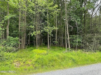 0 Laurel Run Rd Unit 20-97563, Shickshinny, PA 18655