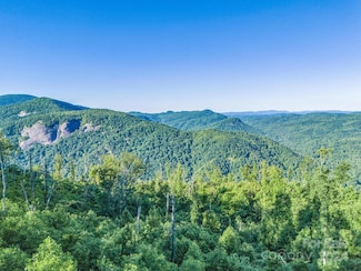 0000 H and H Trail, Bat Cave, NC 28710