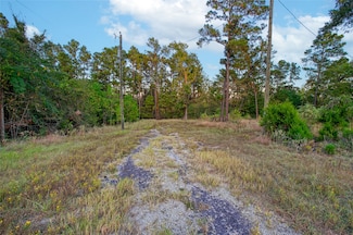 184 Willow Dr, Onalaska, TX 77360