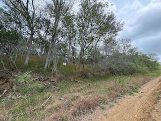 0000 Kaukonahua Ln, Bastrop, TX 78602