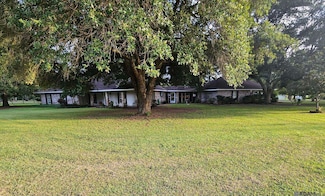 1343 Holly Dr, Slaughter, LA 70777