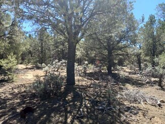 xx Jedediah Rd, El Rito, NM 87556