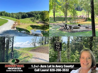 9999 Clouds Rest Dr, Banner Elk, NC 28604