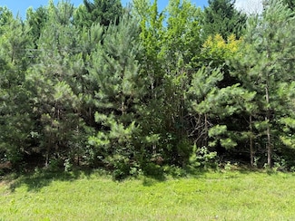1425 River Rd, Warm Springs, GA 31830