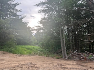 Lot 6 Blk 2 Brummer Dr, Randall, MN 56475