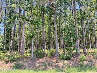 0000 Edwards Rd, Spring Hope, NC 27882