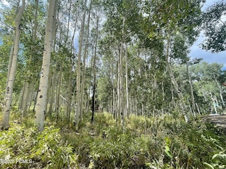 11485 E Violet Way Unit 1845, Heber City, UT 84032