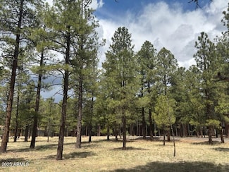 Lot 1 Hattie Green Unit 1, Flagstaff, AZ 86001